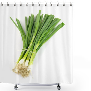 Personality  Spring Onions Shower Curtains