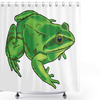 Personality  Drawing Of A Frog Shower Curtains