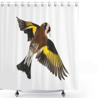 Personality  Goldfinch Shower Curtains