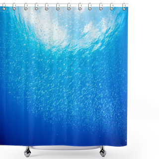 Personality  School Of Juvenile Sardine Shower Curtains