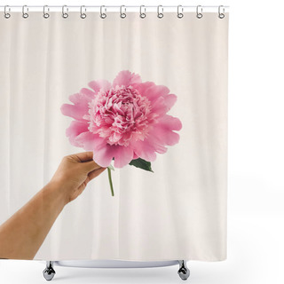 Personality  Hand Holding Big Pink Peony Flowers On White Background. Florist Arranging Floral Decor For Celebration. Hello Spring Concept Shower Curtains
