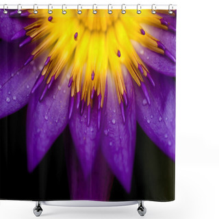 Personality  Lotus Shower Curtains