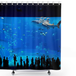 Personality  People And Giant Whale Shark In Oceanarium Shower Curtains