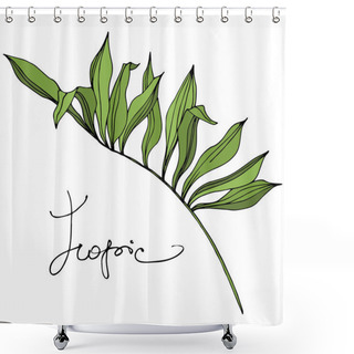 Personality  Palm Beach Tree Leaves Jungle Botanical. Black And Green Engraved Ink Art. Isolated Leaf Illustration Element. Shower Curtains