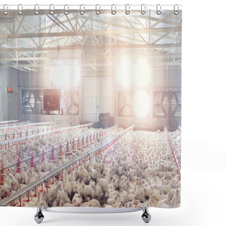 Personality  Poultry Farm With Chicken. Husbandry, Housing Business For The Purpose Of Farming Meat, White Chicken Farming Feed In Indoor Housing. Shower Curtains
