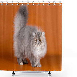 Personality  Persian Cat On Orange Background Shower Curtains