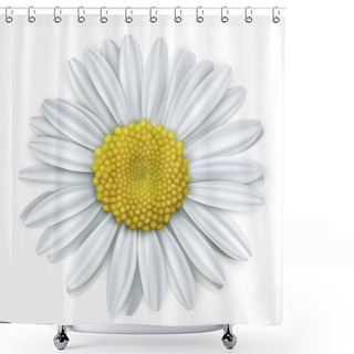 Personality  White Daisy Flower Shower Curtains