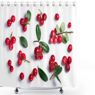 Personality  Lingonberry Vaccinium Vitis-idaea, Top View, Paths Shower Curtains