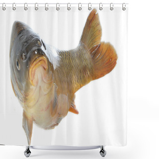 Personality  Carp In Jump Shower Curtains