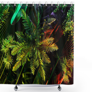 Personality  Full Frame Of Various Beautiful Tropical Leaves And Plants With Red Lighting  Shower Curtains