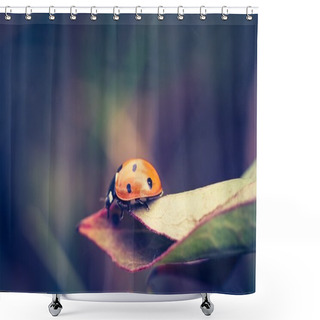 Personality  Vintage Photo Of Ladybug Shower Curtains