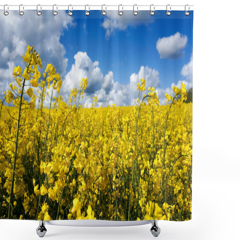 Personality  Canola Field Shower Curtains