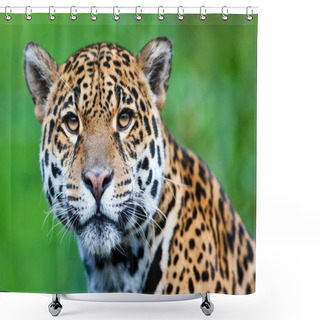 Personality  Jaguar - Panthera Onca. Shower Curtains