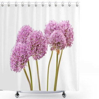 Personality  Beautiful Flowers Shower Curtains