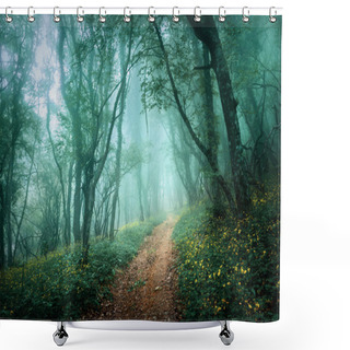 Personality  Road Through A Mysterious Dark Forest In Fog With Green Leaves A Shower Curtains