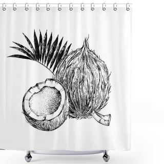 Personality  Hand Drawn Coconut With Half And Leaves Shower Curtains