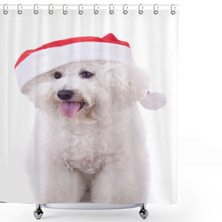 Personality  Bichon Frise Wears Santa Hat Shower Curtains