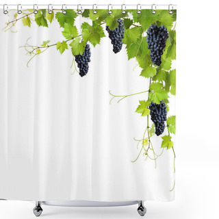 Personality  Collage Of Vine Leaves And Blue Grapes Shower Curtains