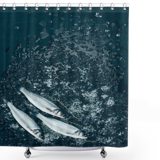 Personality  Top View Of Healthy Uncooked Sea Bass Fish With Ice On Black  Shower Curtains