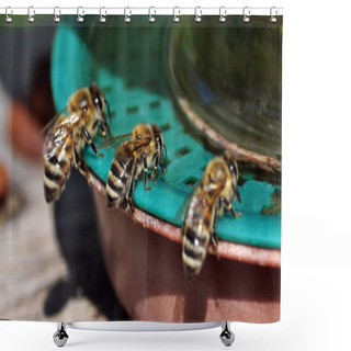 Personality  Bees Near Drinking Water_7 Shower Curtains