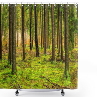 Personality  The Magical World Of The Forest In Colorful Colors / Hiking In Nature Is Good For Soul Mind And Body Shower Curtains