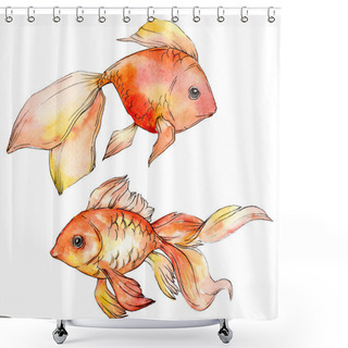 Personality  Watercolor Aquatic Colorful Goldfishes Isolated On White Illustration Elements. Shower Curtains