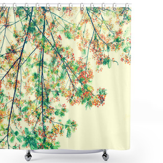 Personality  Vintage Retro Color Tone Of Flam-boyant Flower With Light  Shower Curtains