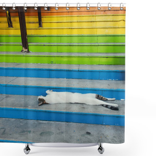 Personality  Homeless Cat Lying On Colorful Stairs Outdoors  Shower Curtains