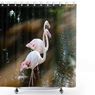 Personality  Flamingo Shower Curtains
