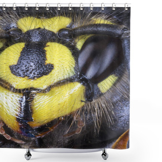 Personality  Extreme Macro Of The Head Of Common Wasp (Vespula Vulgaris) From Shower Curtains