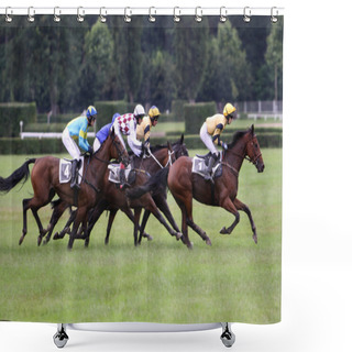 Personality  Qualification On The 119th Steeplechase Velka Pardubicka Shower Curtains