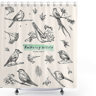 Personality  Vector Illustration. Pen Style Sketch Objects. Birds On Branches. Leaves And Berries. Shower Curtains