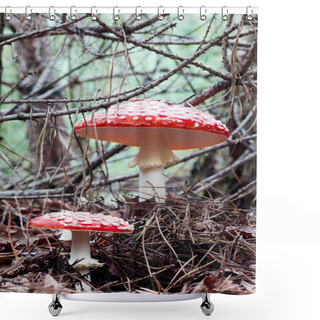 Personality  Toadstools Shower Curtains