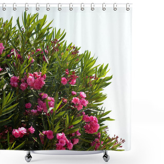 Personality  Oleander Shower Curtains