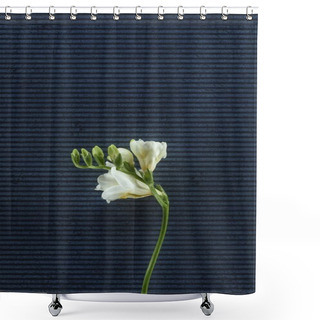 Personality  Blooming Freesia Flowers Over Stripped Background Shower Curtains