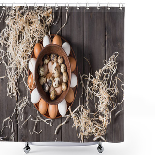 Personality  Chicken And Quail Eggs    Shower Curtains