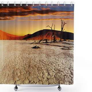 Personality  Namib Desert, Sossusvlei, Namibia Shower Curtains