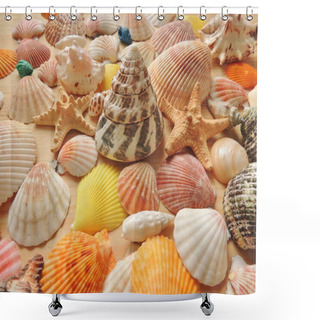 Personality  Bright Colored Sea Shell Background. Shower Curtains