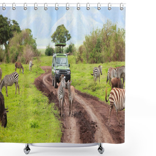 Personality  Game Drive Shower Curtains