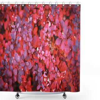 Personality  Autumn Foliage Background Shower Curtains