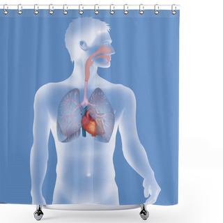 Personality  Pulmonary System Shower Curtains