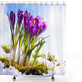 Personality  Art Spring Florwer Background Shower Curtains