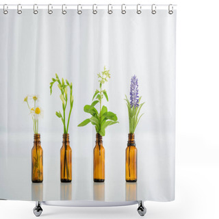 Personality  Chamomile, Freesia, Salvia And Hyacinth Flowers In Glass Bottles On White Background Shower Curtains