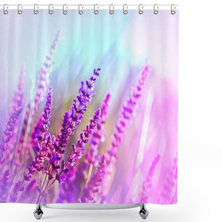 Personality  Purple Flower In A Meadow Shower Curtains