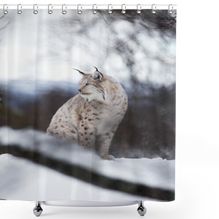 Personality  Lynx Sits In The Snow Shower Curtains
