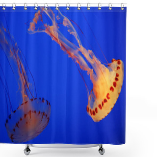 Personality  Yellow Jellyfish In The Sea Shower Curtains