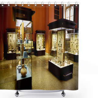 Personality  Museum Exhibits Of Ancient Relics In Glass Cases Shower Curtains