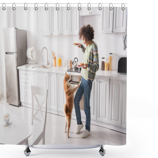 Personality  Funny Shiba Inu Dog Standing On Hind Legs Near African American Woman With Tasty Pancakes Shower Curtains