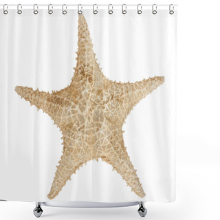 Personality  Star Fish Shower Curtains