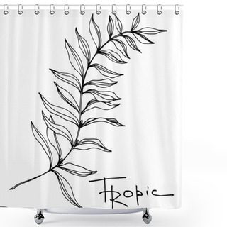 Personality  Vector Palm Beach Tree Leaves Jungle Botanical. Black And White Engraved Ink Art. Isolated Leaf Illustration Element. Shower Curtains